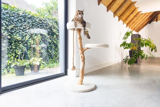 Produktbild Designed by Lotte Vilja (110 cm, Creme)