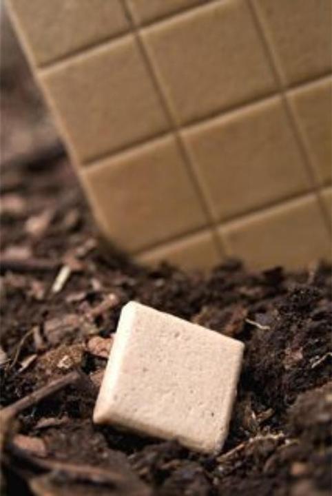 Actual product image Chicza Organic Spearmint Chewing Gum (1 pcs., 30 g)
