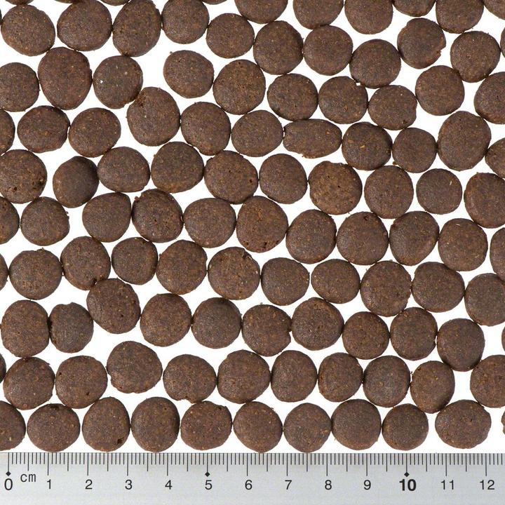 Actual product image Purizon Puppy getreidefrei