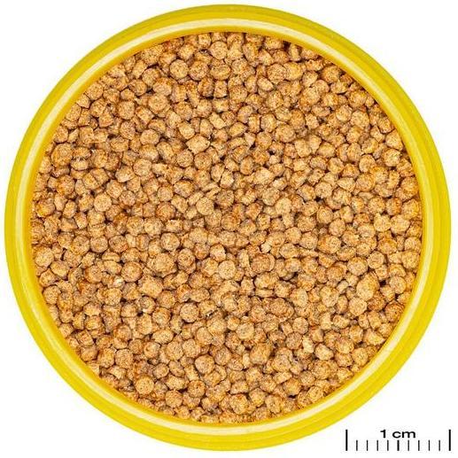 Image du produit JBL Aquaristik und Terraristik ProNovo CICHLID GRANO S 250ml CLICK (Cichlidés, 250 ml)