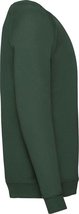 Actual product image Fruit of the Loom Childrens/Kids Classic Raglan Sweatshirt (140, 146)