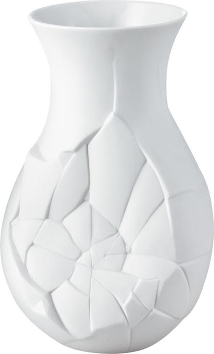 Immagine prodotto Rosenthal Vaso di fasi (1 x)