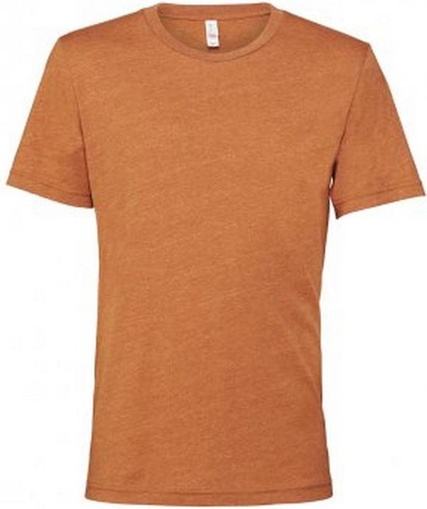 Bella Canvas CVC TShirt Erwachsene