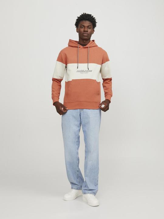 Produktbild Jack & Jones Sweat Hoodie (L)
