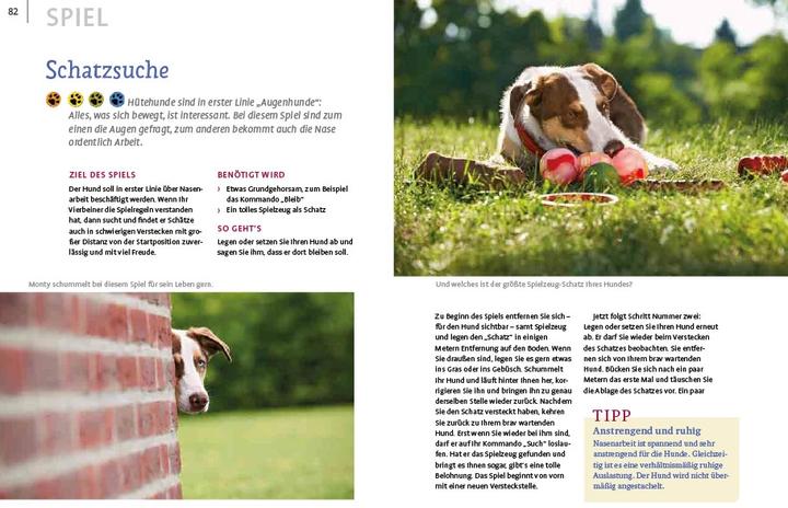 Immagine prodotto Spiele und Action für ausgeglichene Hütehunde (Tedesco, Marion Albers, 2023)