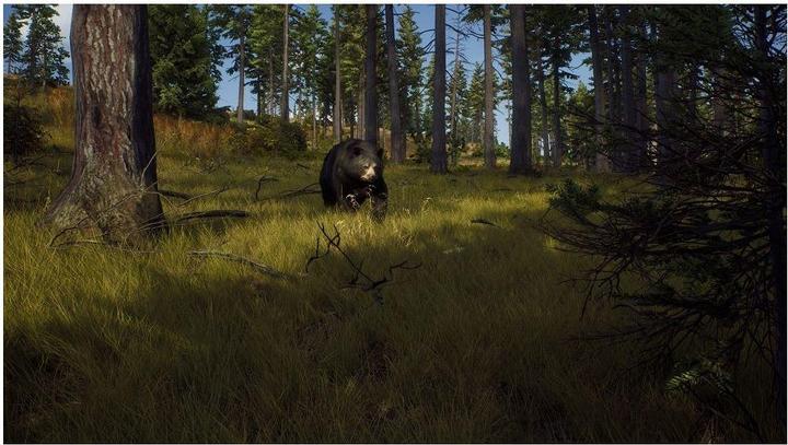 Immagine prodotto THQ La via del cacciatore - Stagione di caccia 1 (Xbox Series X, EN)