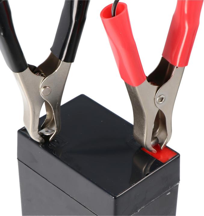 Actual product image AccuCell Charger for 2V, 6V and 12V lead-acid, lead-gel and lead-fleece batteries (0.40 A)
