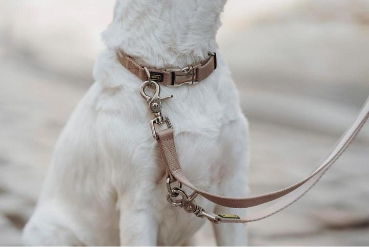 Actual product image Hunter Adjustable lead Inari, 20/200, Beige, width: 2 cm (Dog, General)