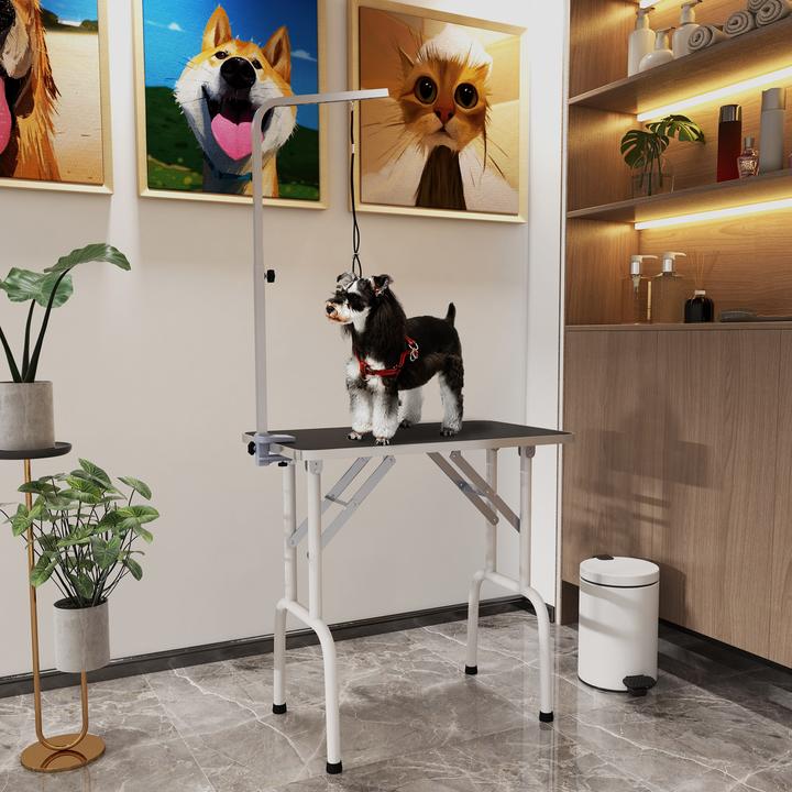 Produktbild PawHut Trimmtisch klappbar (Hund)