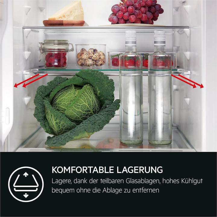 Actual product image AEG TSK5O881DF Built-in refrigerator / 880 mm / 137 L / Fixed door / D, 933019588 (137 l)