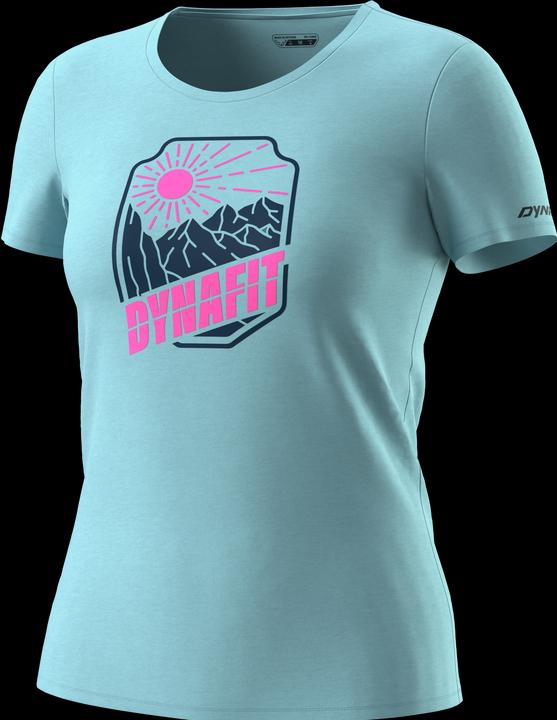 Dynafit Graphic Cotton S/S Tee (34, XS)