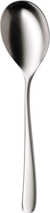 vision (Serving spoon)