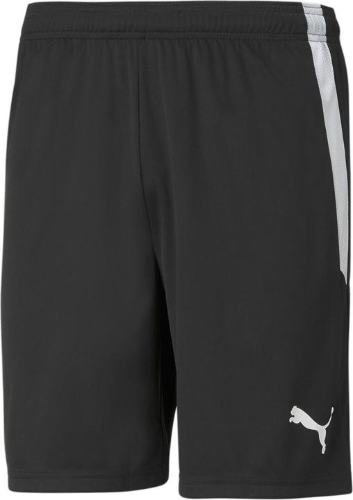 Actual product image Puma teamLIGA shorts (XXL)