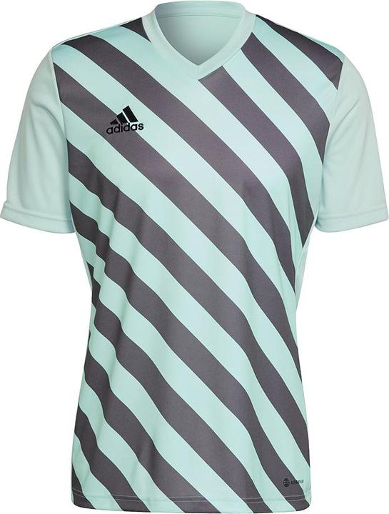 Actual product image adidas Entrada 22 Graphic Jersey (S)