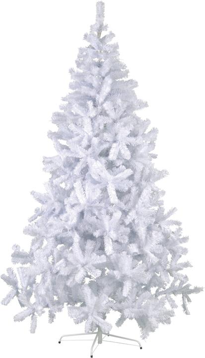 Star Trading Quebec (210 cm)