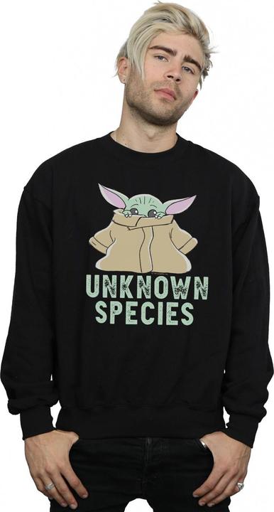 Image du produit Star Wars - Sweat THE MANDALORIAN UNKNOWN SPECIES - Homme (5XL)