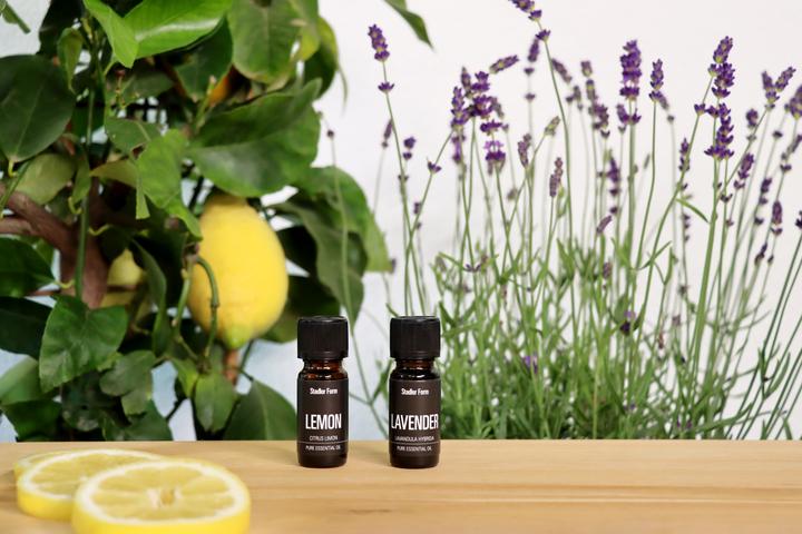 Actual product image Stadler Form Fragrance oil