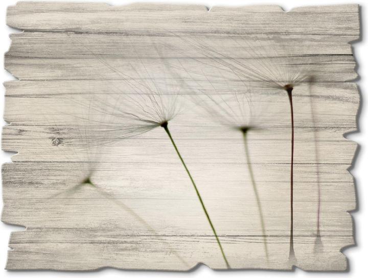 Produktbild Artland Pusteblumen-Samen I T5SQ (40 x 30 cm)