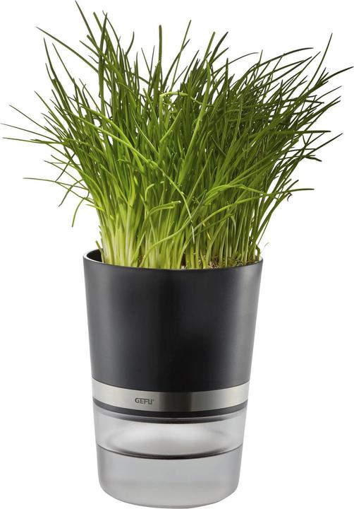 Immagine prodotto GEFU Botanico (14.20 cm)