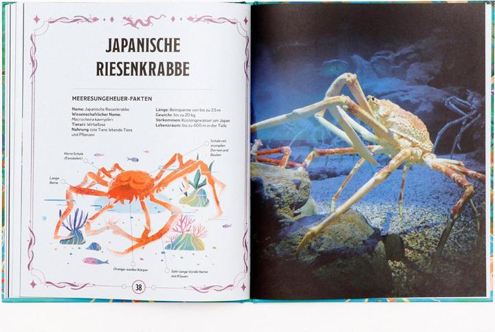 Produktbild Echte Meeresungeheuer (Deutsch, Jianan Liu, Anita Ganeri, Frederik Kugler, 2024)