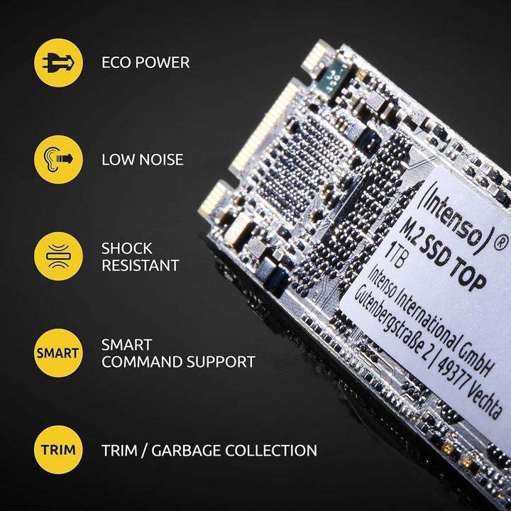 Produktbild Intenso Top Performance (1000 GB, M.2 2280)