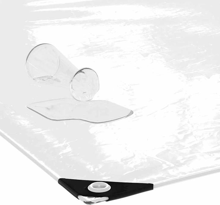 Produktbild VidaXL Transparente Plane mit Ösen 6x10 m PVC durchsichtige Plane (600 x 1000 cm)