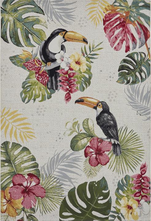 Immagine prodotto Hanse Home Sogno tropicale (240 x 340 cm)