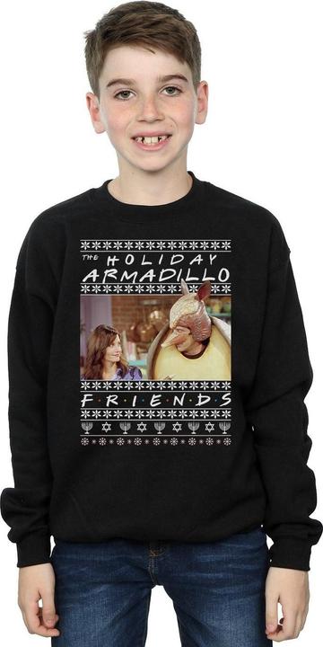 Actual product image Friends Boys Fair Isle Holiday Armadillo Sweatshirt (140, 146)