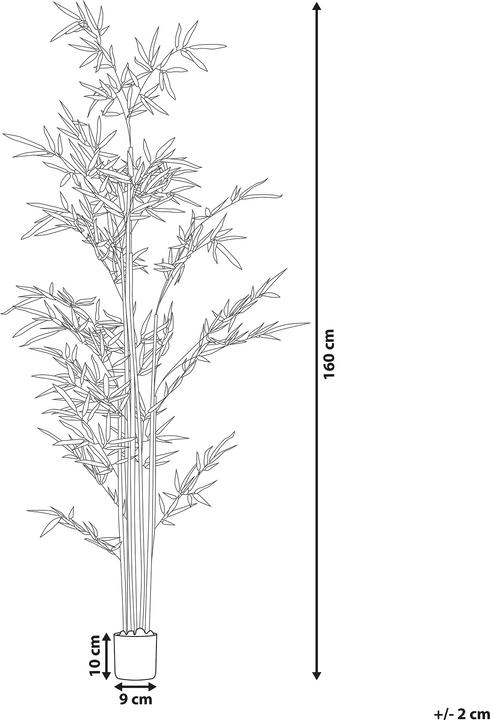 Produktbild Beliani Bambusa Vulgaris (160 cm)