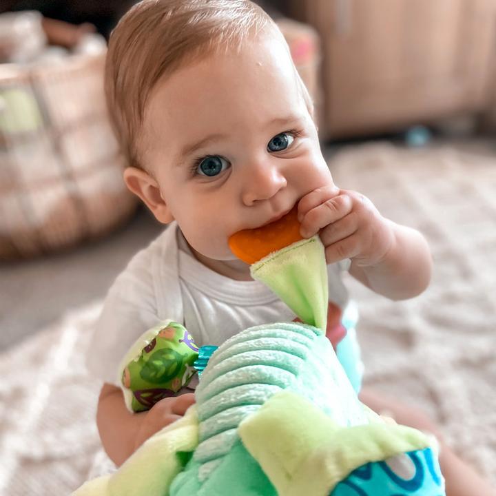 Immagine prodotto Playgro Amico Sensoriale Drago Polveroso - (10188473)