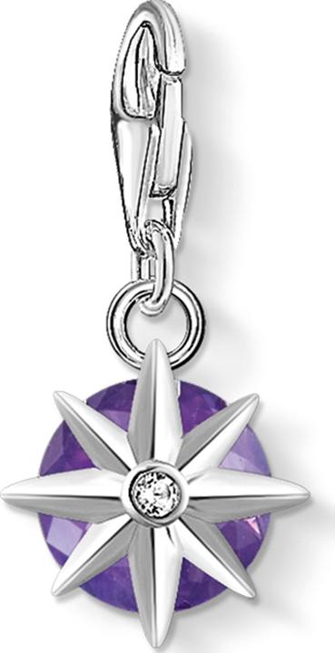 Actual product image Thomas Sabo Charm pendant Birthstone February (925 silver)