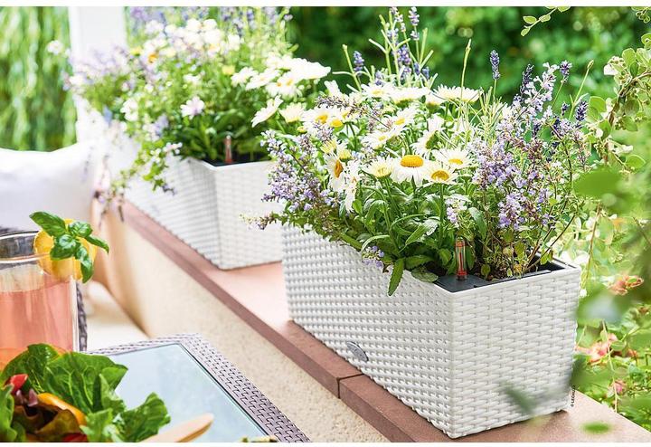 Produktbild Lechuza Blumentopf Balconera Cottage 50 (19 cm)