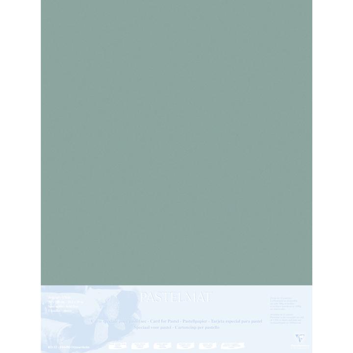 Immagine prodotto Clairefontaine Carta pastello (5 x)