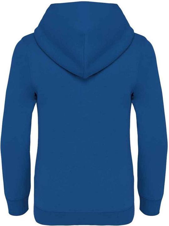 Actual product image Native Spirit Childrens/Kids Hoodie (134, 140)