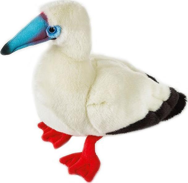 Immagine prodotto National Geographic Booby dai piedi rossi (35 cm)
