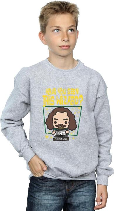 Produktbild Sirius Black Azkaban Junior Sweatshirt Jungen (152, 158)