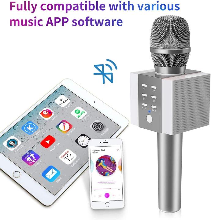 Actual product image Tosing Bluetooth Karaoke Microphone 008, Silver