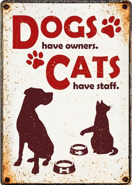 Produktbild Plenty gifts Waakbord Blik Dogs Have Owners Cats Have Staff (21 x 15 cm)