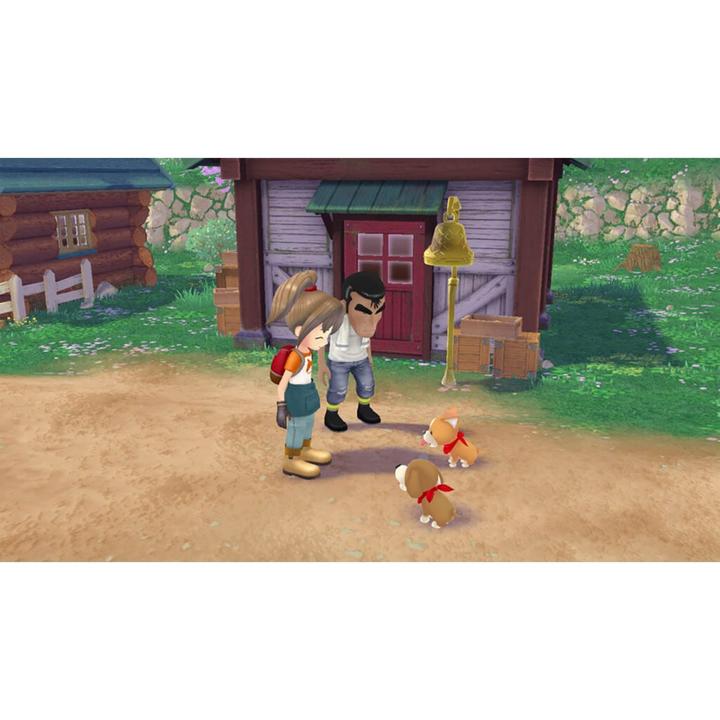 Actual product image Marvelous Story of Seasons: A Wonderful Life Switch UK (Switch, EN)