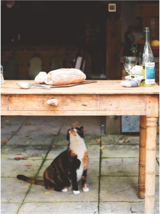 Immagine prodotto Pronto! (Tedesco, Gennaro Contaldo, Carla Gröppel-Wegener, 2019)