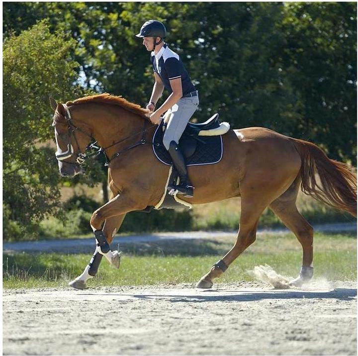 Immagine prodotto Kavalkade Stivali da equitazione in pelle Maximus Donna (37)