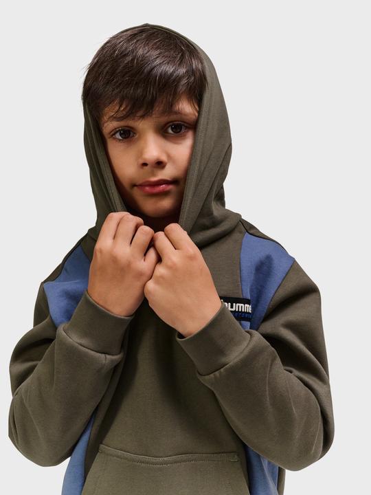 Produktbild hummel hmlALLTON HOODIE (140)