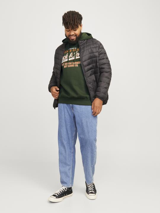 Image du produit Jack & Jones JJELOGO SWEAT HOOD 2 COL 24/25 NOOS PLS (5XL)