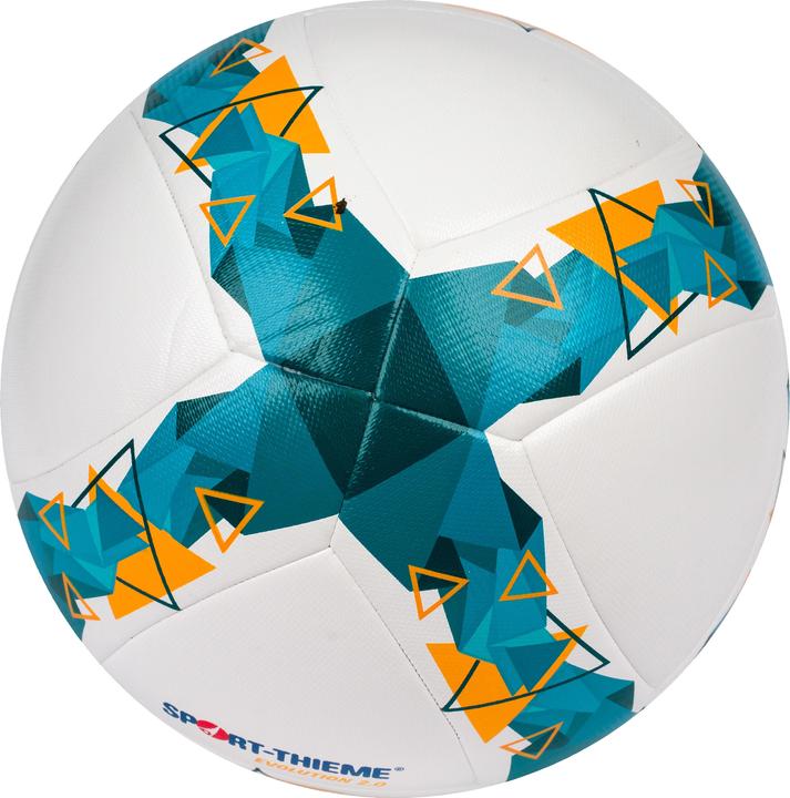 Produktbild Sport-Thieme Fussball Evolution 2.0