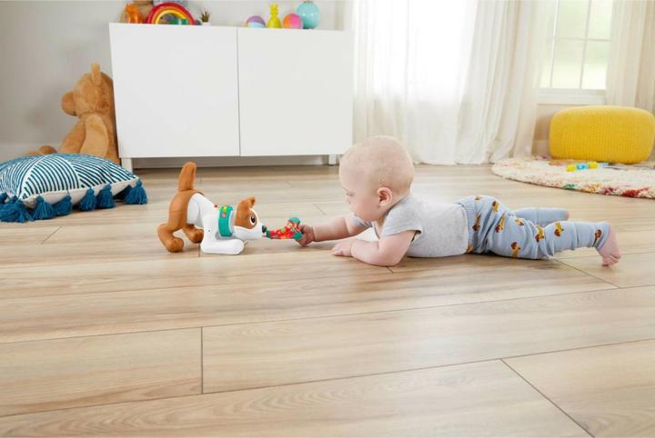 Immagine prodotto Fisher-Price Cane gattonante Bello