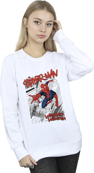Actual product image Womens/Ladies Spider-Man Sketch City Sweatshirt (L)