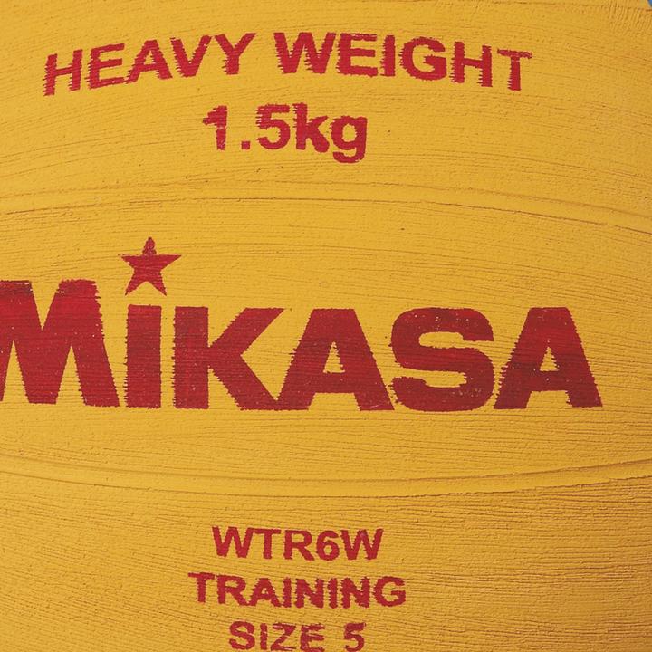 Actual product image Mikasa Water polo