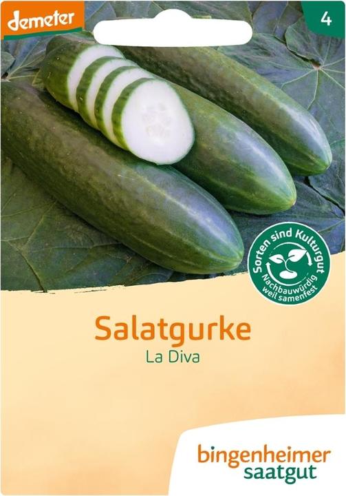 Bingenheimer Saatgut Salatgurke La Diva