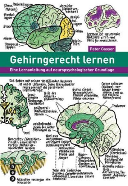 Actual product image Gehirngerecht lernen (German, Peter Gasser, 2010)