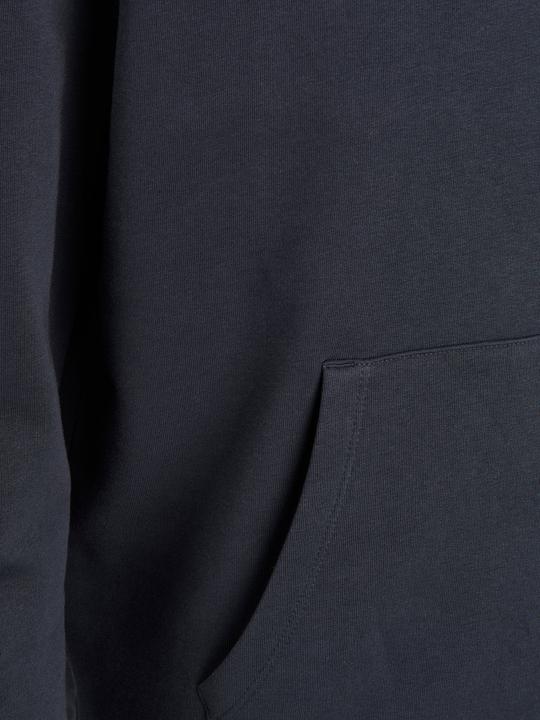 Image du produit Jack & Jones Hoodie (L)